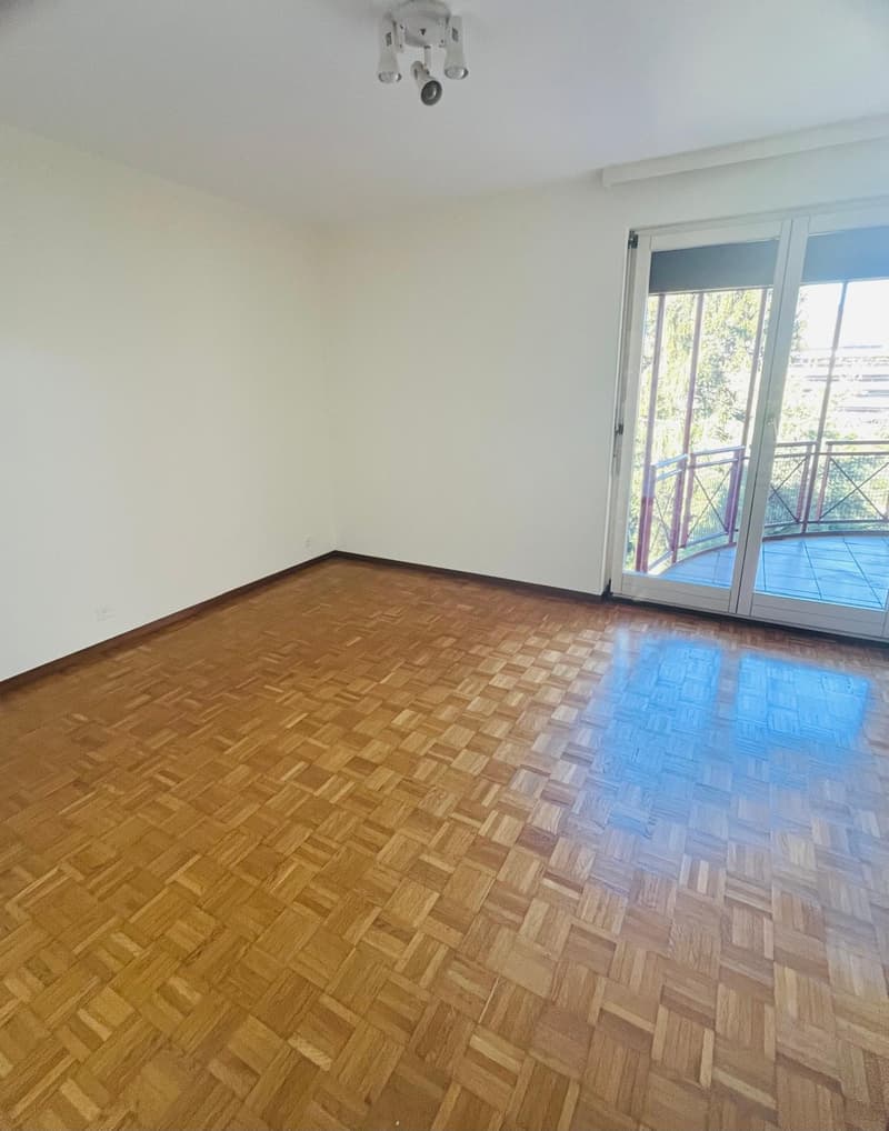 Helles 4.5-Zimmer-Apartment in Agno mit Terrassen und Parkplätzen (12)