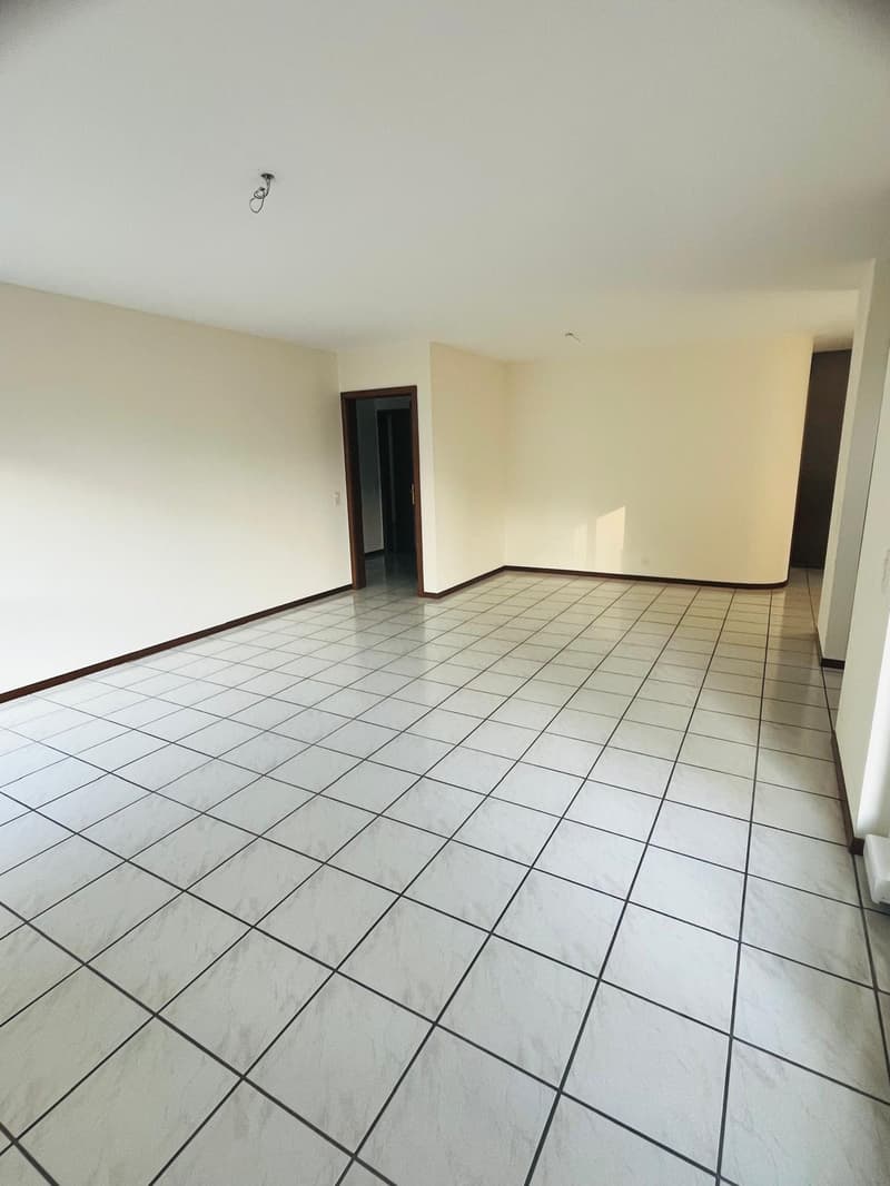 Helles 4.5-Zimmer-Apartment in Agno mit Terrassen und Parkplätzen (3)
