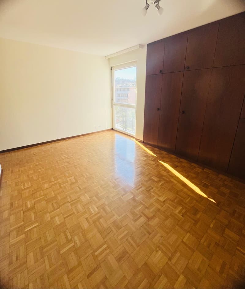Helles 4.5-Zimmer-Apartment in Agno mit Terrassen und Parkplätzen (10)