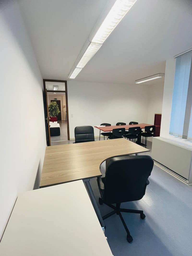 Bureaux lumineux de 2,5 pièces avec grande terrasse et places de parking (7)