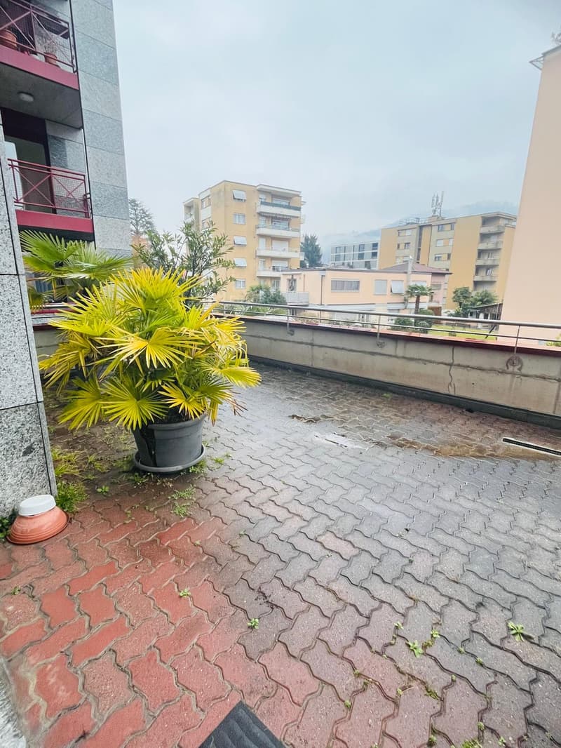 Bureaux lumineux de 2,5 pièces avec grande terrasse et places de parking (5)