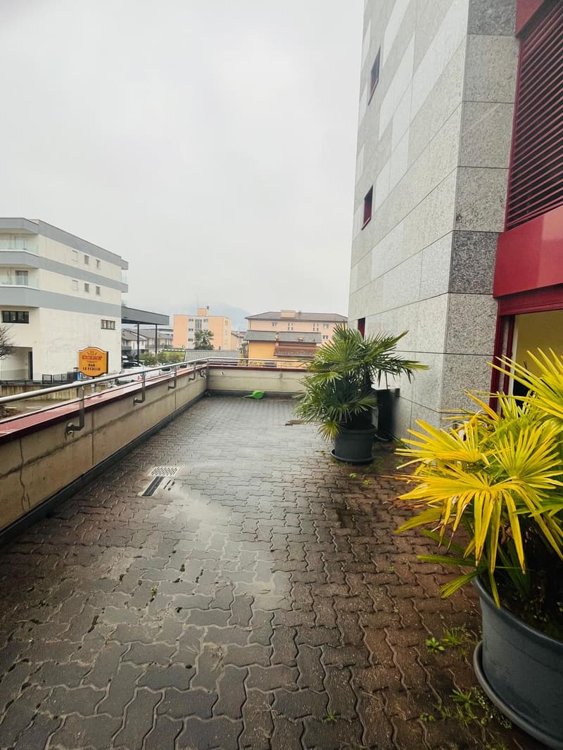 Bureaux lumineux de 2,5 pièces avec grande terrasse et places de parking (4)