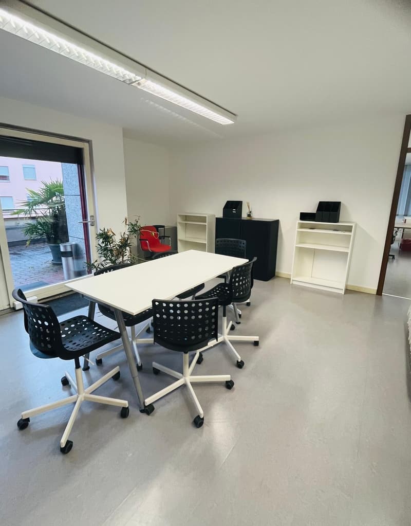 Bureaux lumineux de 2,5 pièces avec grande terrasse et places de parking (2)