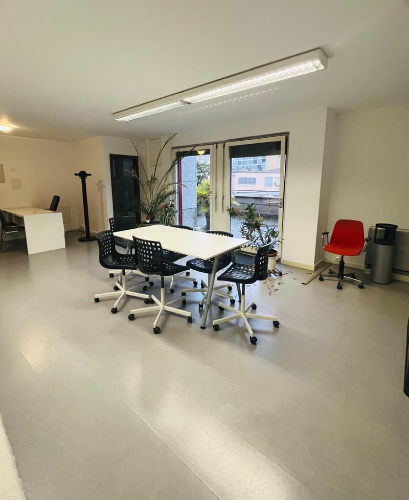 Bureaux lumineux de 2,5 pièces avec grande terrasse et places de parking (3)
