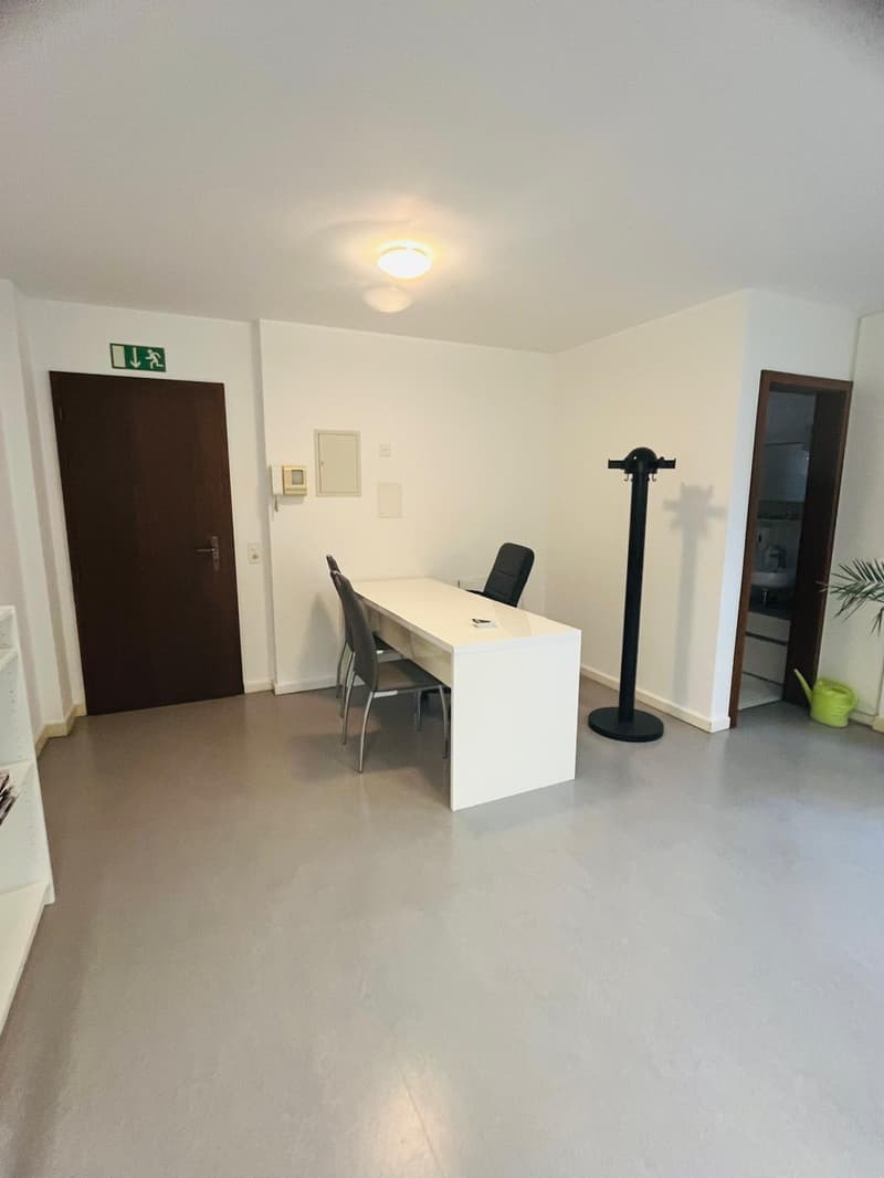 Bureaux lumineux de 2,5 pièces avec grande terrasse et places de parking (10)