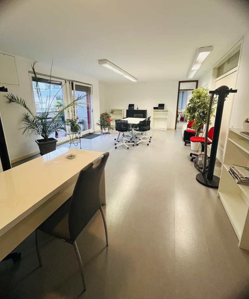 Bureaux lumineux de 2,5 pièces avec grande terrasse et places de parking (1)