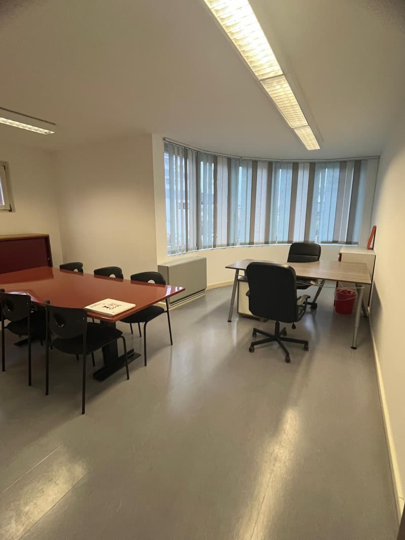 Bureaux lumineux de 2,5 pièces avec grande terrasse et places de parking (6)
