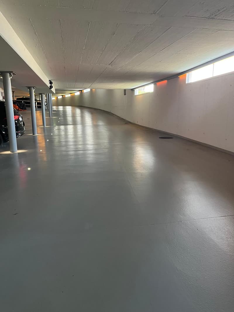 Appartamento di 3.5 locali con giardino e vista lago (14)
