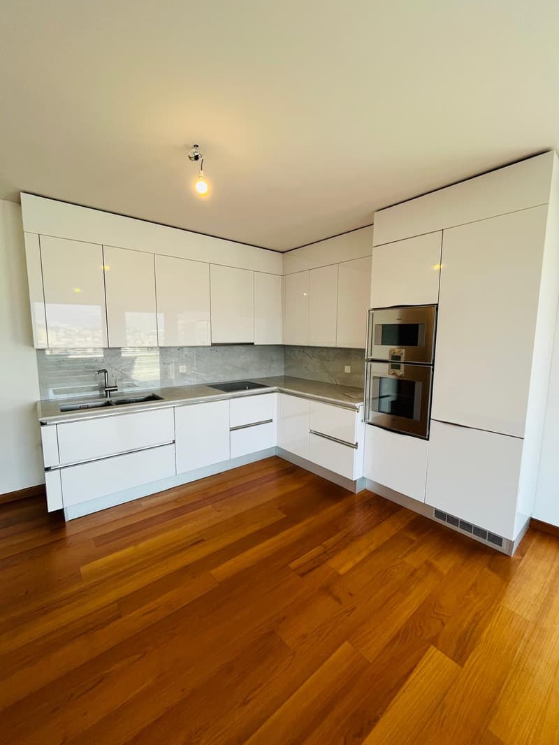 Appartamento di 3.5 locali con giardino e vista lago (4)