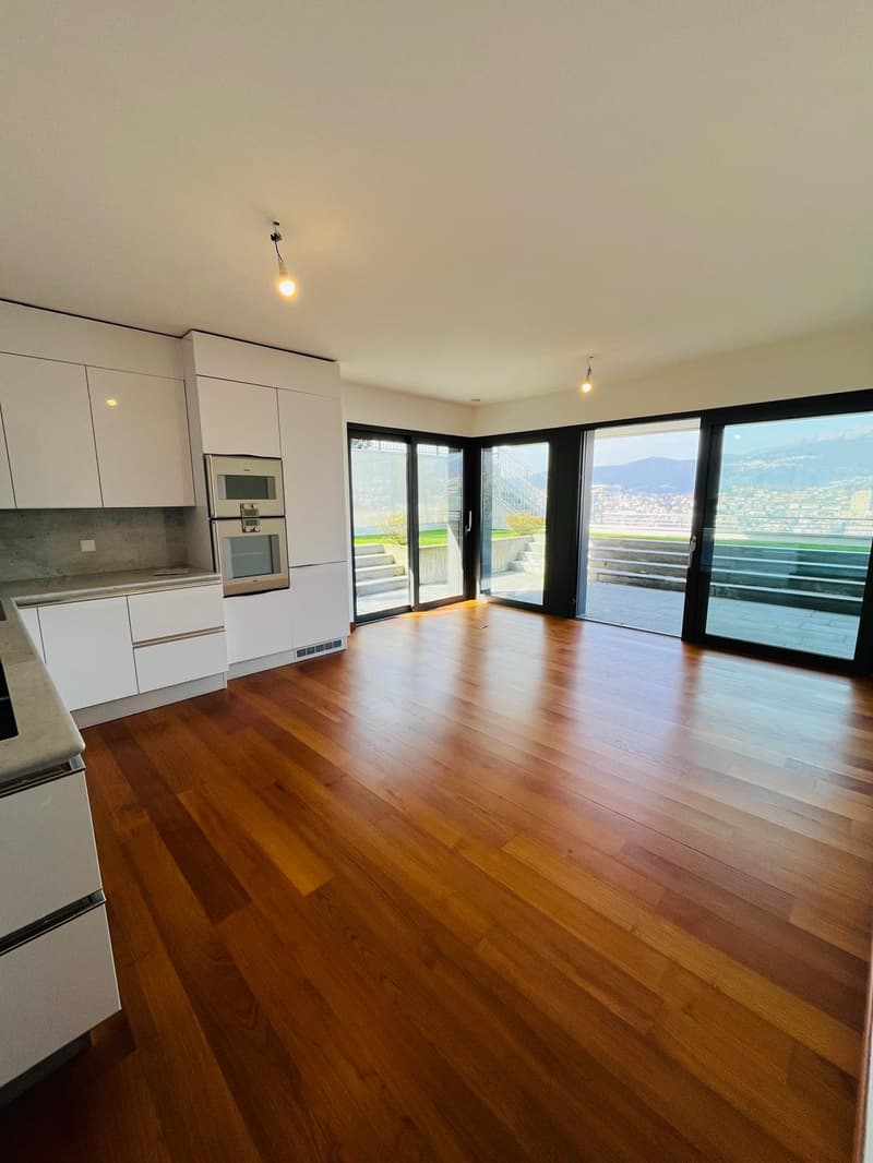 Appartamento di 3.5 locali con giardino e vista lago (2)