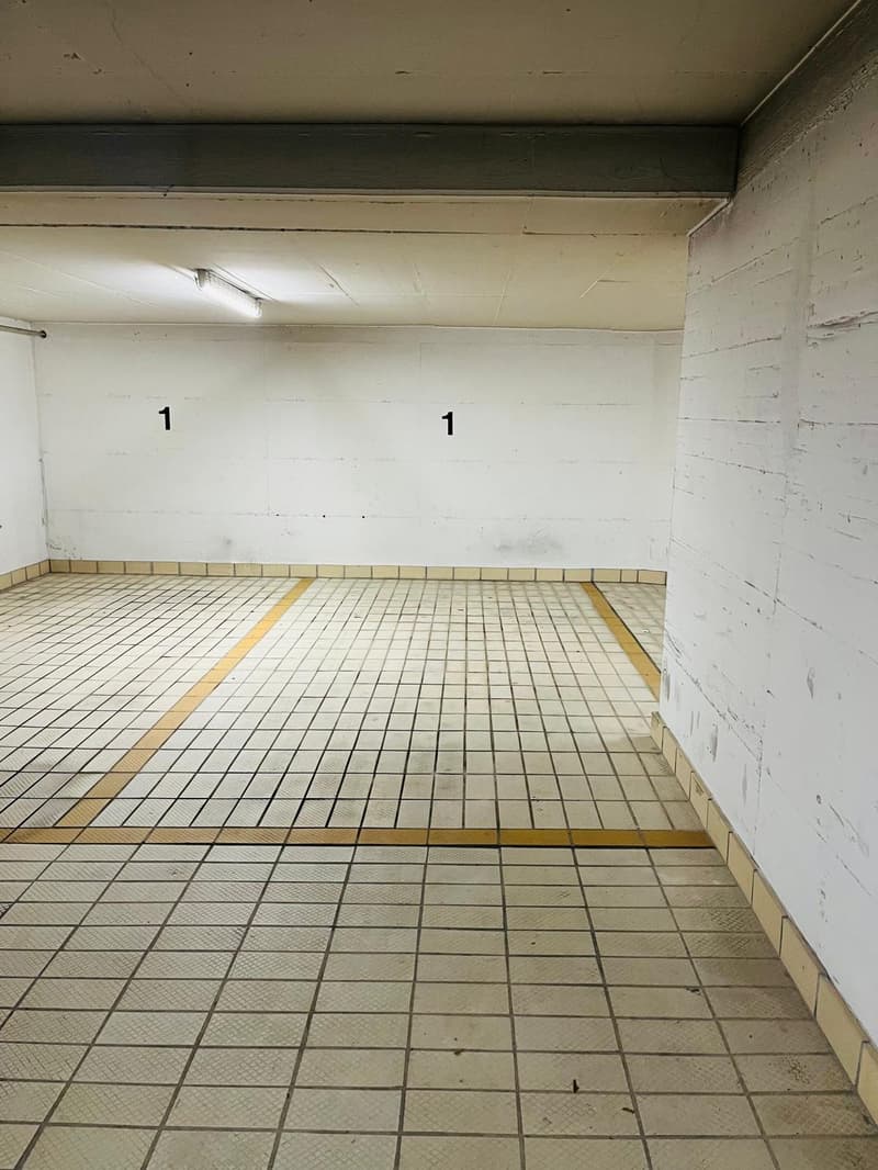 Helles 4.5-Zimmer-Apartment mit Doppelgarage in Lugano (16)