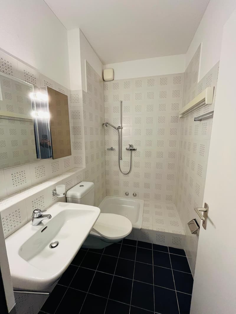 Helles 4.5-Zimmer-Apartment mit Doppelgarage in Lugano (15)