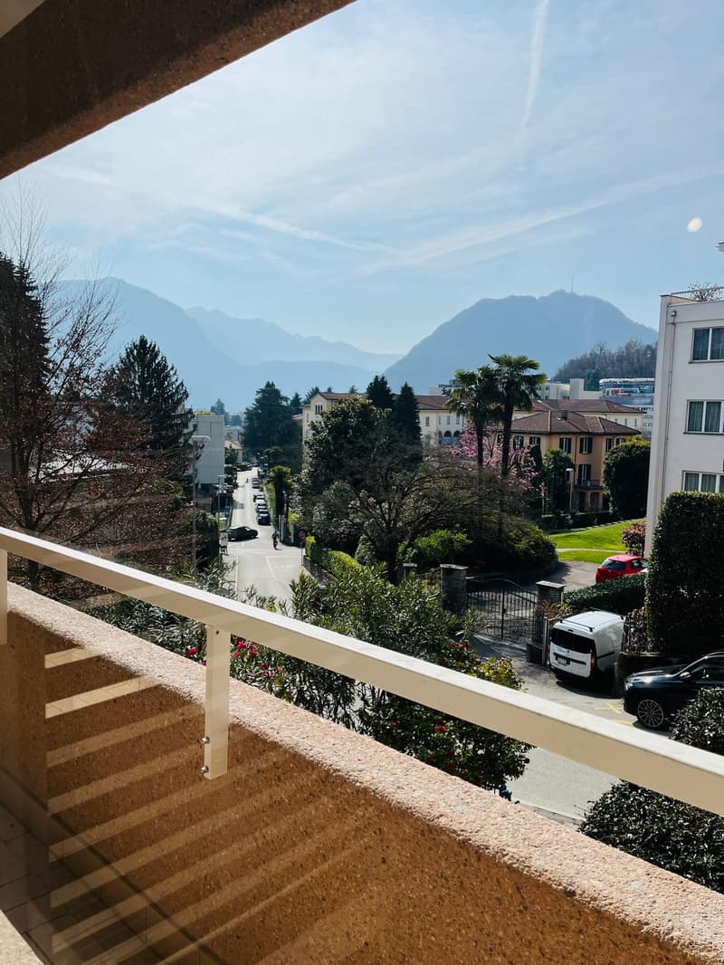 Helles 4.5-Zimmer-Apartment mit Doppelgarage in Lugano (18)