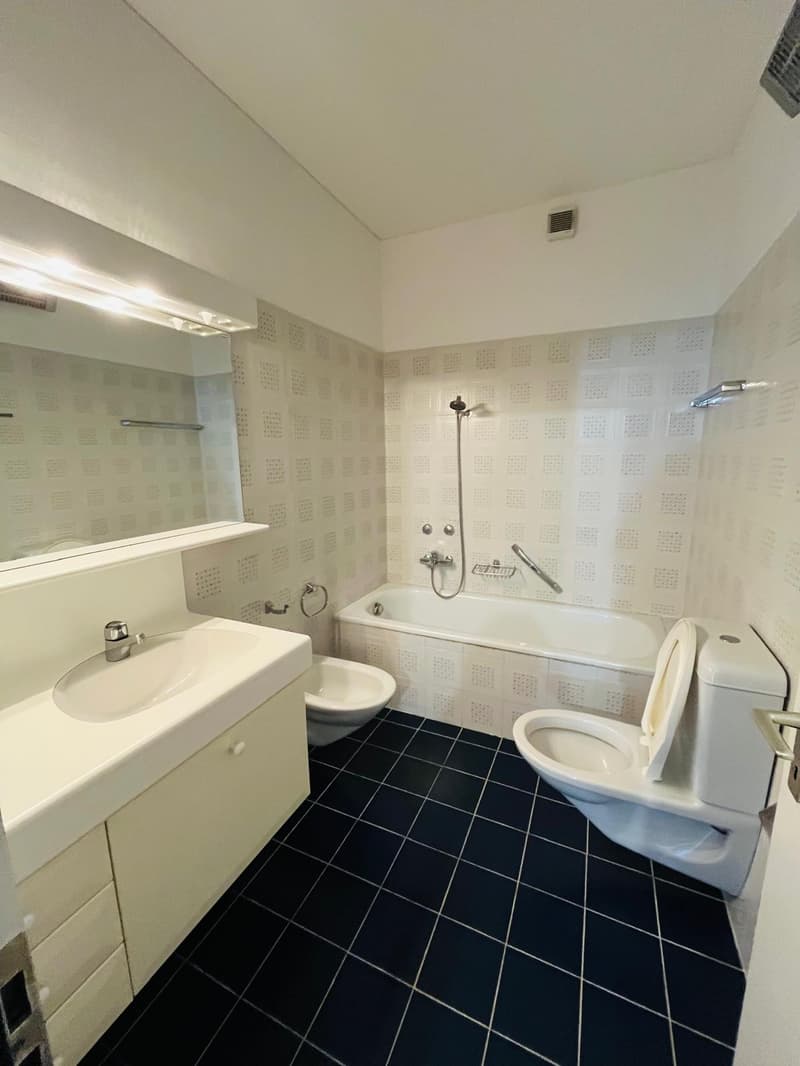 Helles 4.5-Zimmer-Apartment mit Doppelgarage in Lugano (13)