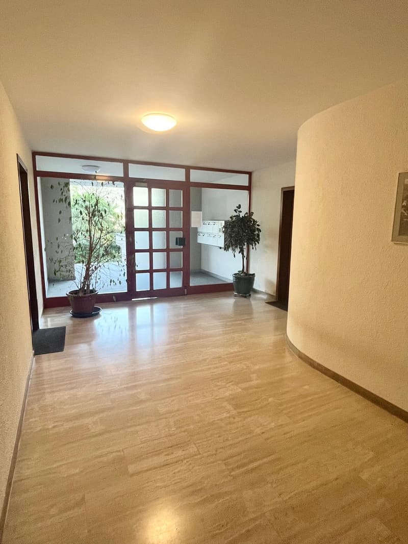 Elegante 3.5 locali con 2 terrazze vista lago box auto e posto auto (19)