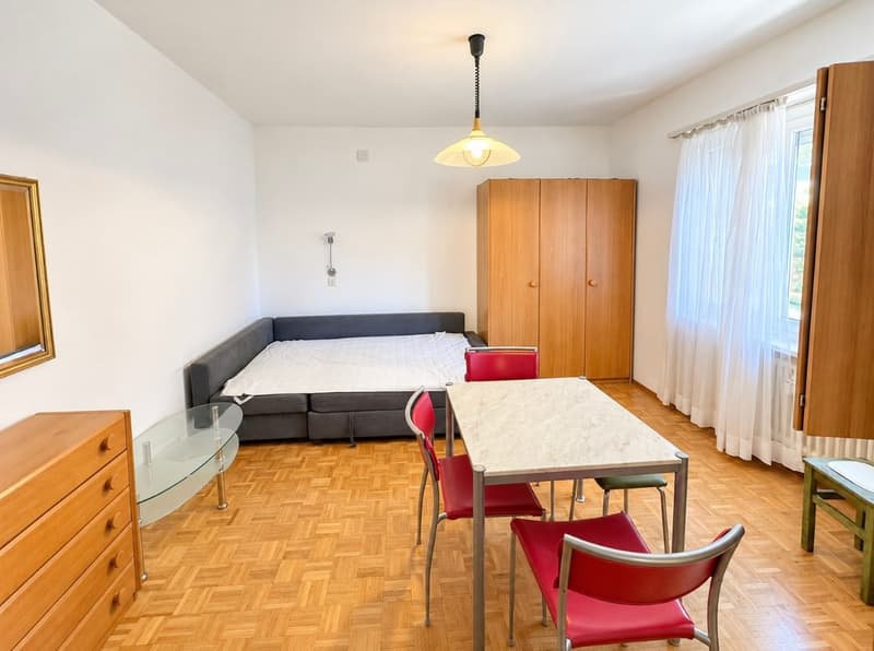 Accogliente monolocale arredato a Lugano – disponibile subito! (5)