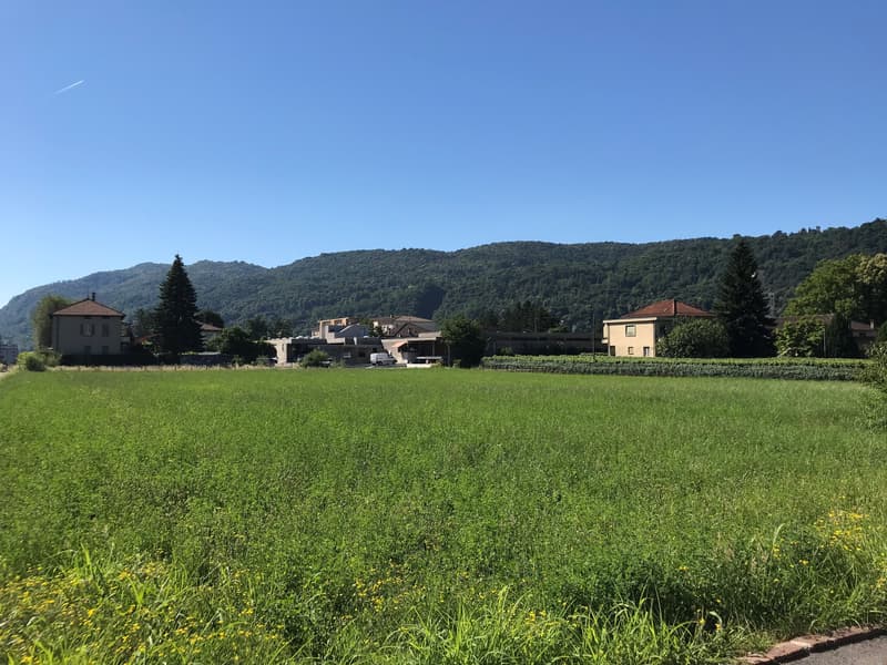 Terreno edificabile di facile accesso (10)