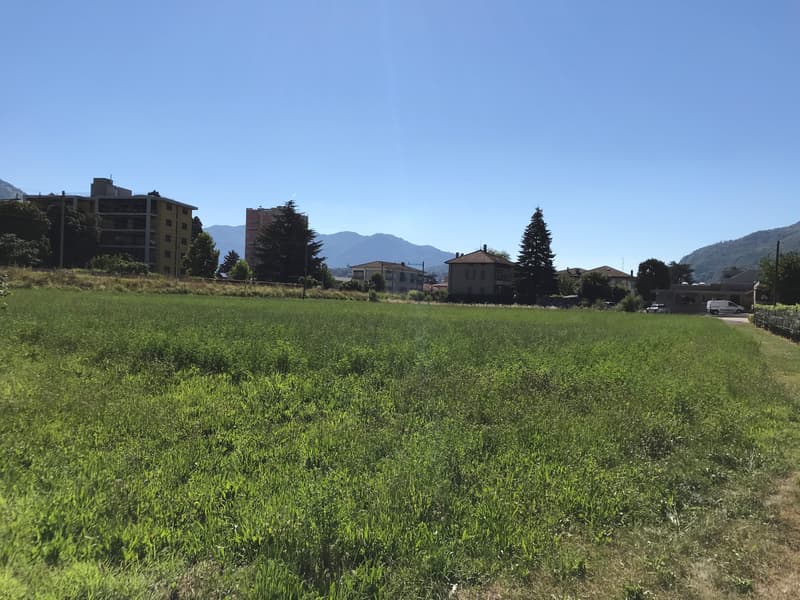 Terreno edificabile di facile accesso (9)