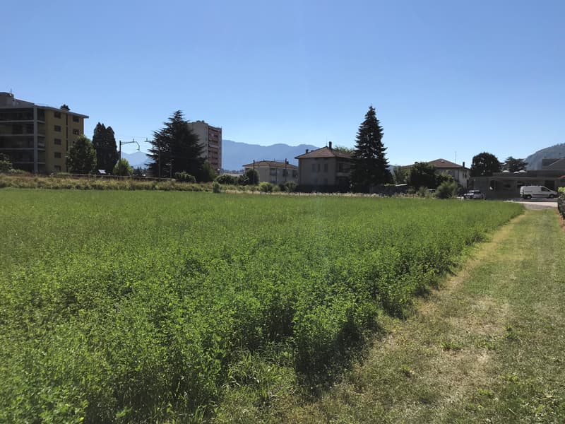 Terreno edificabile di facile accesso (11)