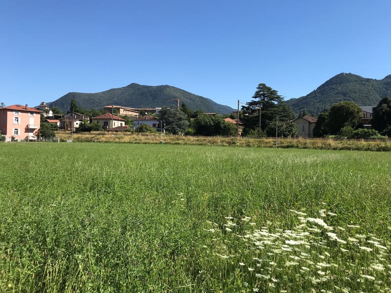 Terreno edificabile di facile accesso (14)
