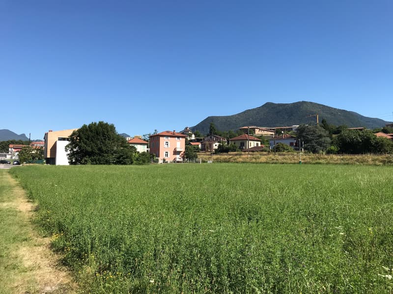 Terreno edificabile di facile accesso (12)