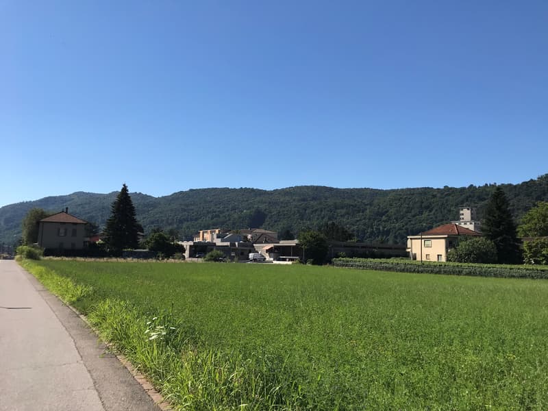 Terreno edificabile di facile accesso (3)