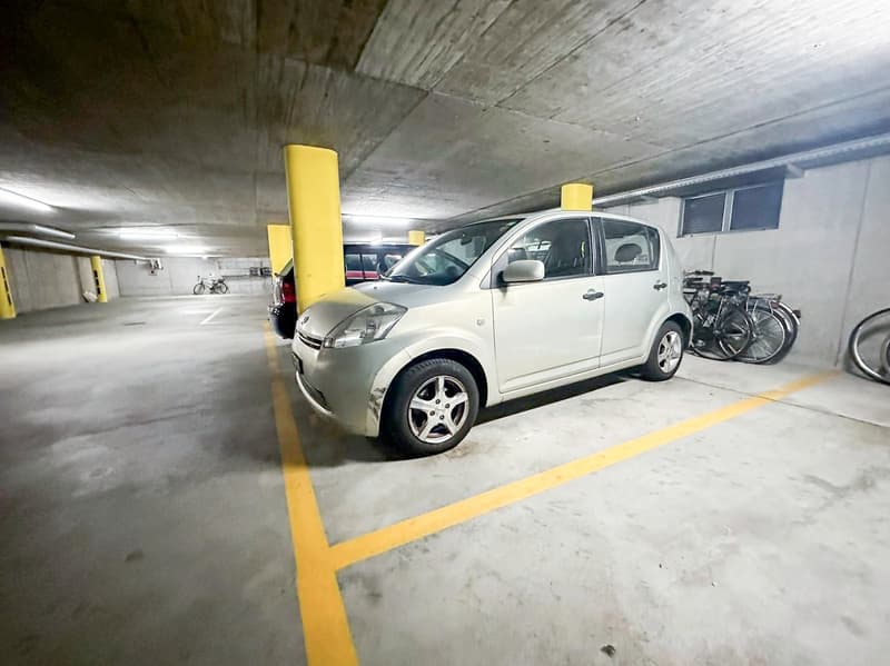 Grande appartamento 6.5 locali, Duplex con terrazza e parcheggio (21)