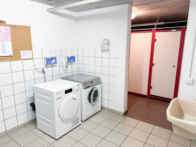 Grande appartamento 6.5 locali, Duplex con terrazza e parcheggio (22)
