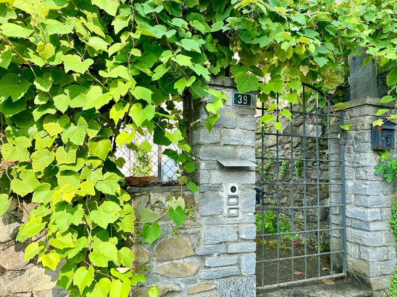Stone wall, metal gate, number 39, green vines, mailbox, intercom system