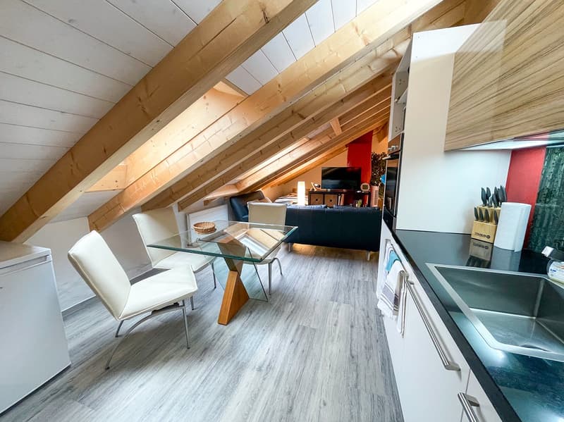 Einfamilienhaus mit separater Dachwohnung (27)