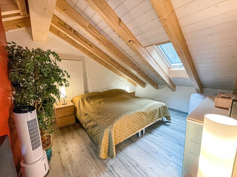 Einfamilienhaus mit separater Dachwohnung (21)