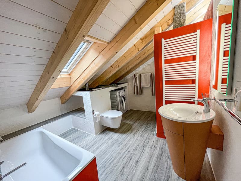 Einfamilienhaus mit separater Dachwohnung (28)