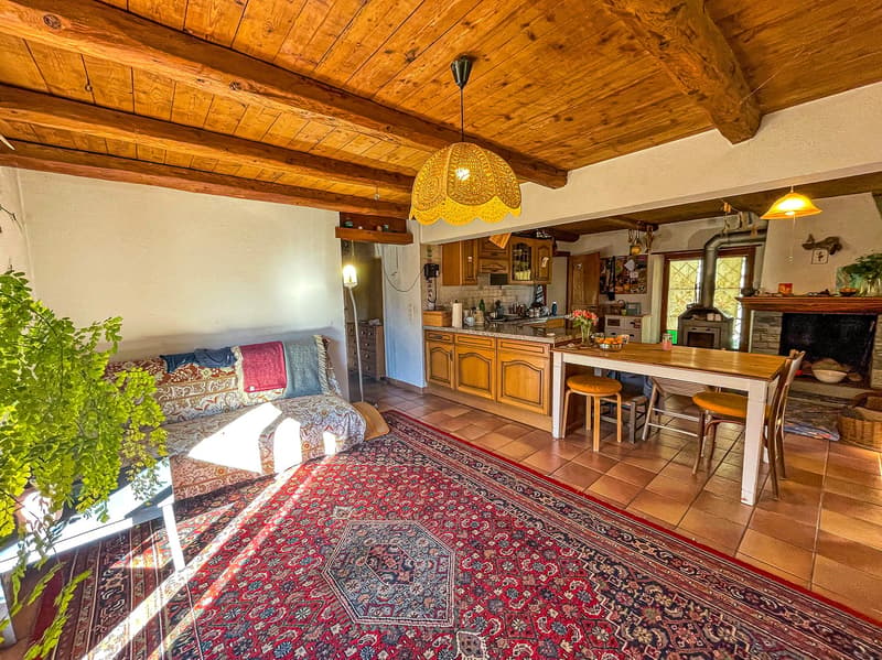 Casa Tipica Ticinese con giardino - Typisches Tessiner Haus mit Garten (5)