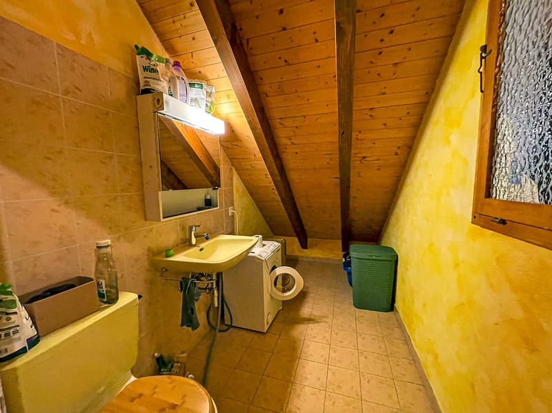 Casa Tipica Ticinese con giardino - Typisches Tessiner Haus mit Garten (23)