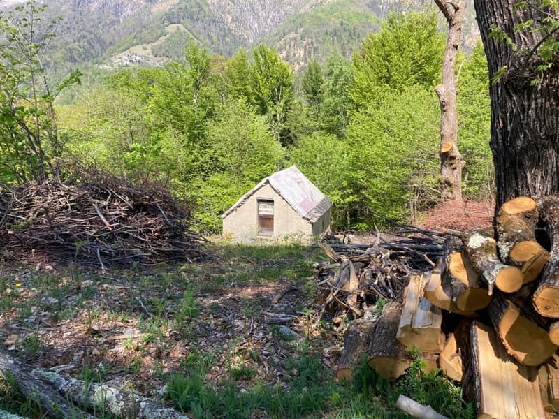 The image shows a small wooden shed or cabin in a forested mountain landscape. There is a pile of chopped firewood in the foreground, indicating the presence of a fireplace or stove inside the cabin. The surrounding area is covered in lush green vegetatio