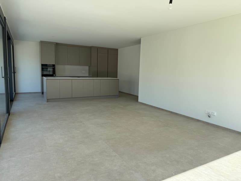 Appartement moderne avec jardin à Giubiasco (12)