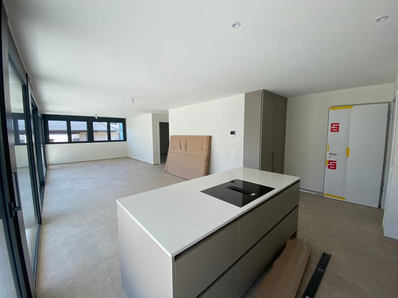 Modern apartment with terrace in Giubiasco (5)