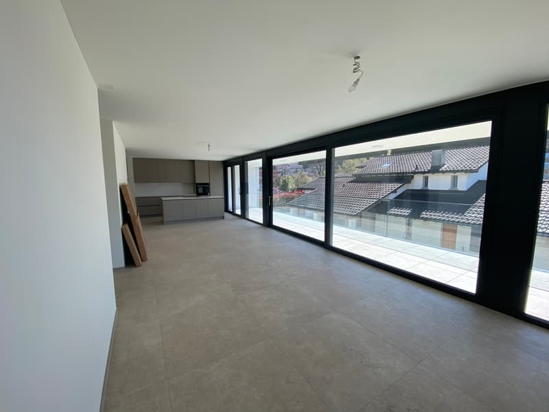 Modern apartment with terrace in Giubiasco (4)