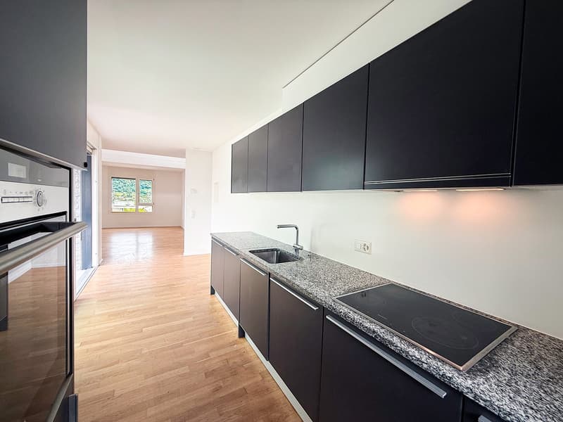Modern kitchen with black cabinets, granite countertops, stainless steel appliances including a dishwasher, and hardwood flooring. The kitchen opens up to a larger living space with natural light coming in through a window.