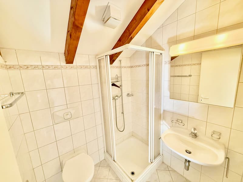 white tiled walls, toilet, shower, sink, mirror, wooden beams, wooden floor
