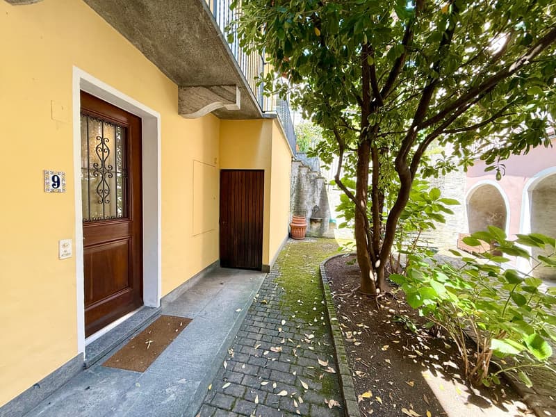 Yellow exterior wall, entrance door with metal details, small side door, number 9 on the wall, narrow pathway with brick floor, tree, grass, and plants on the side