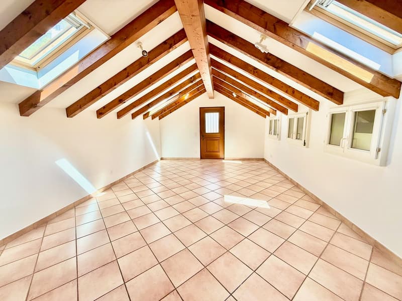 Open room, wooden ceiling beams, tiled flooring, white walls, wooden door, three skylights