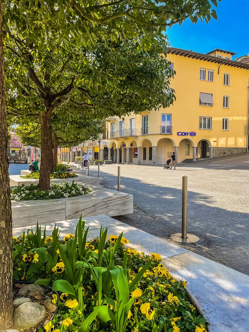 Urban garden with trees, plants, yellow flowers, rocks, pathways, and bollards in front of a yellow building.