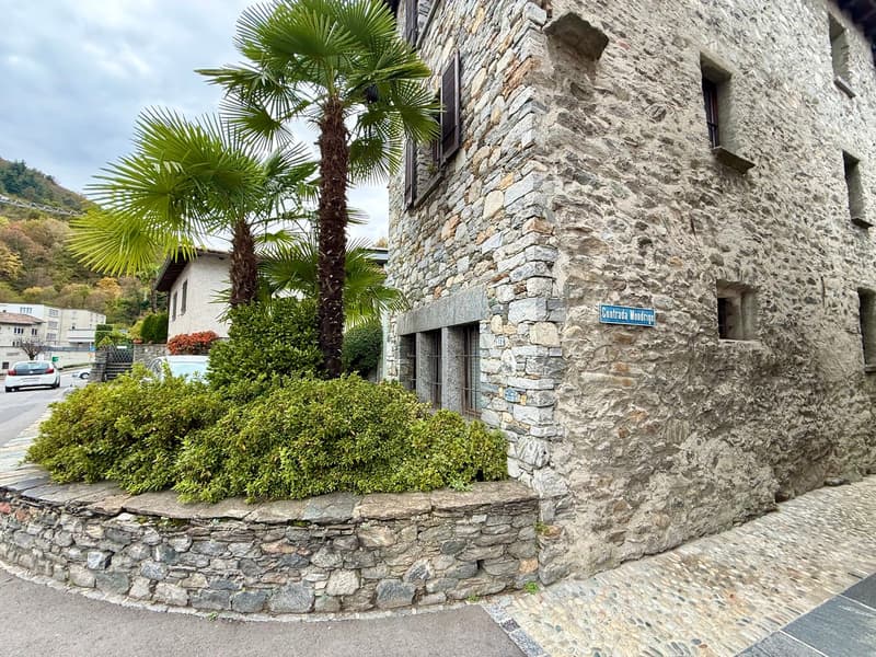 stone building, glass windows, bushes, palm trees, entrance, street name plaque