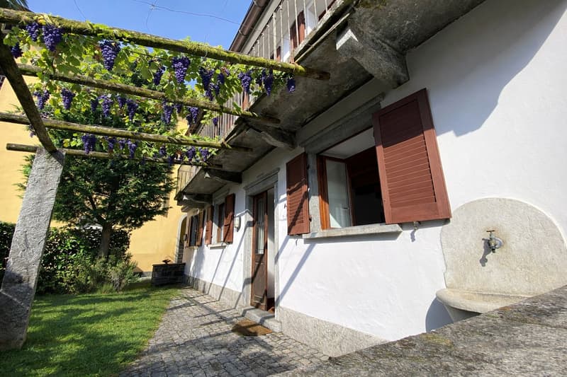 White building with red shutters, wooden trellis with grapes, outdoor fountain, cobblestone pathway