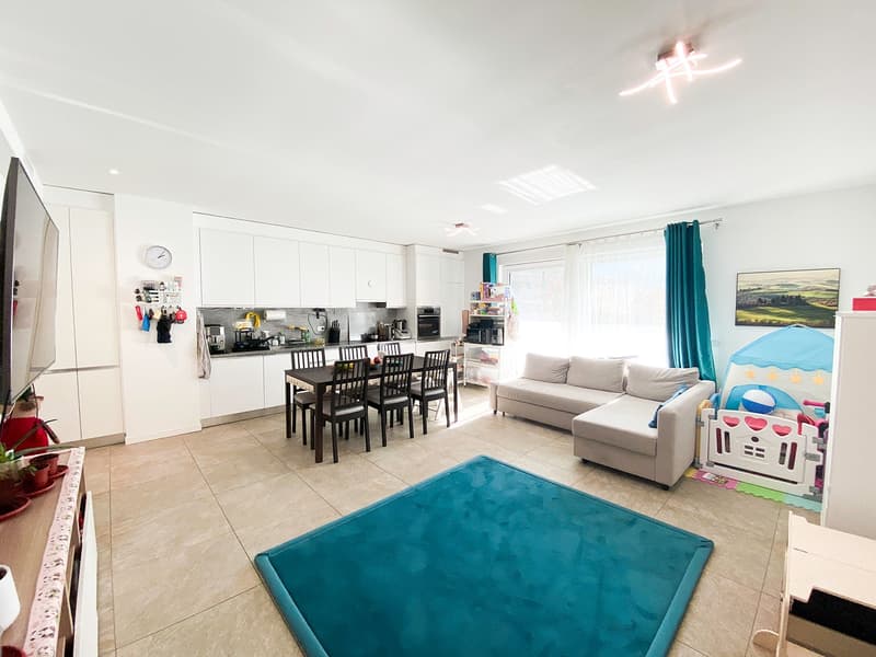 Modern living room with a blue rug, sofa, dining table, kitchen with appliances, and decorative items.