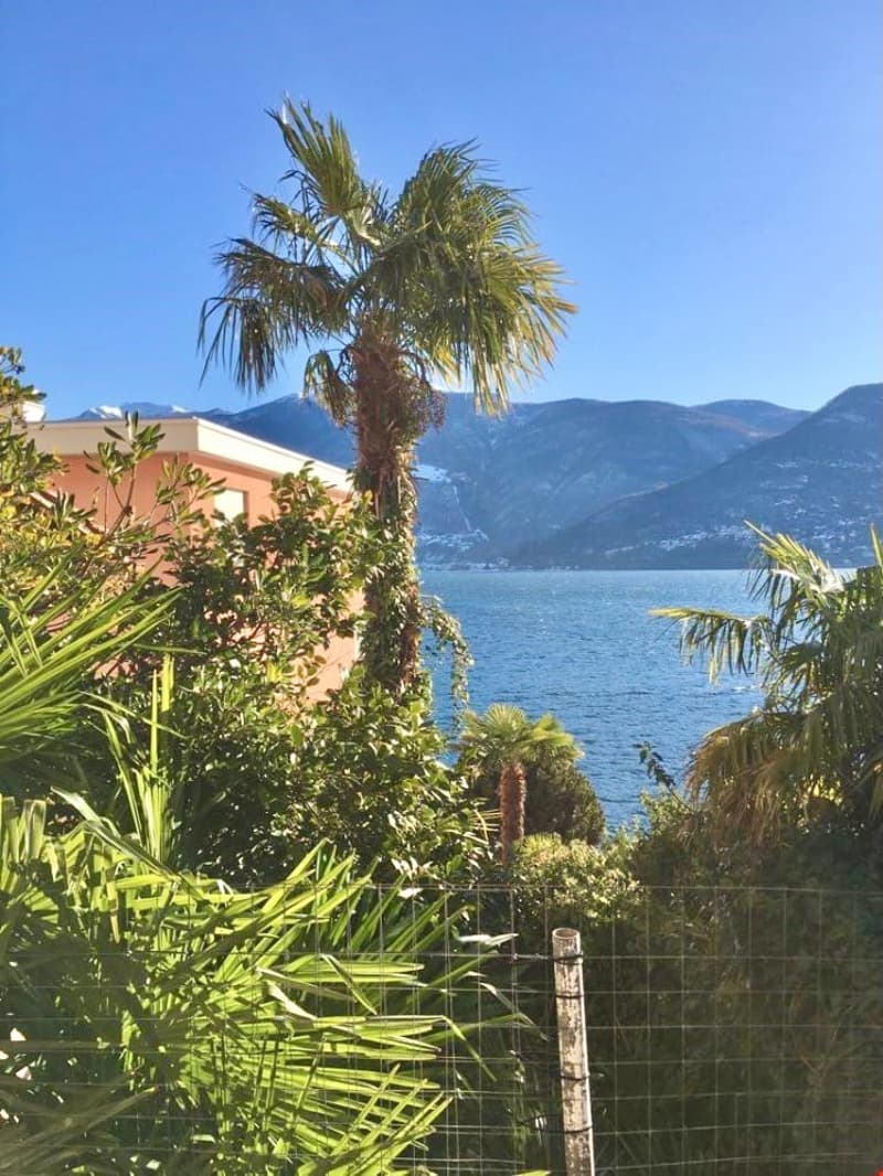 garden area with plants and palm trees overlooking a lake and mountains