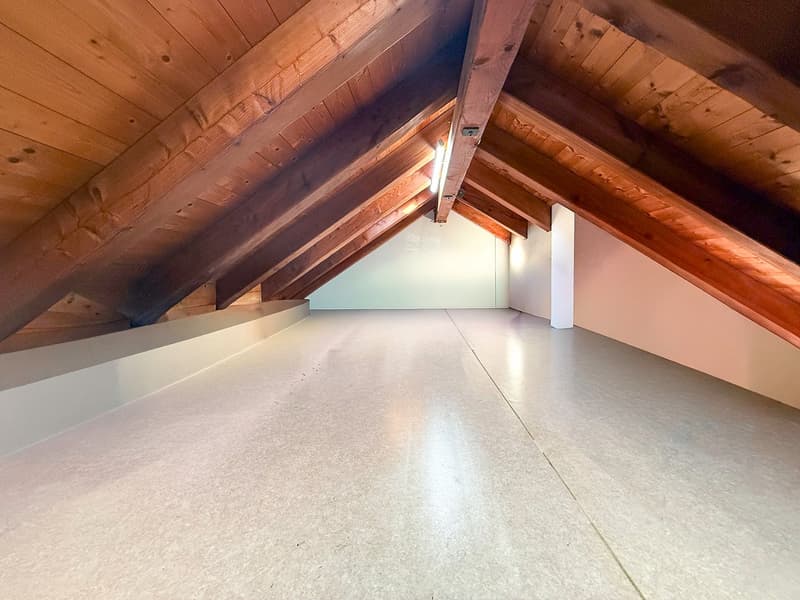 attic space with wooden beams, empty