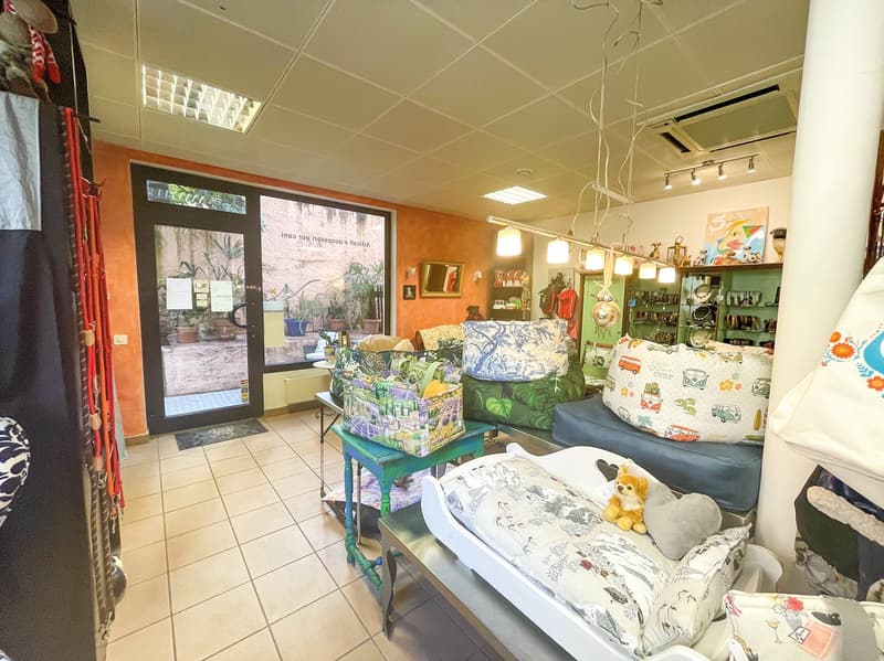Bright room with white and orange walls, white ceiling, a door with glass walls, large windows with view to outside, green and blue furniture and pillows, air conditioning.