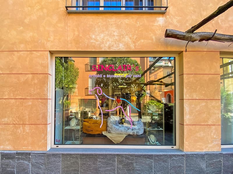 A shop named Sinclair's for dogs accessories, showcasing dog beds and items inside